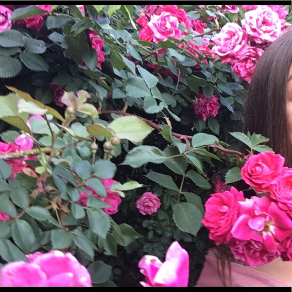 Meet your Posher, Ana